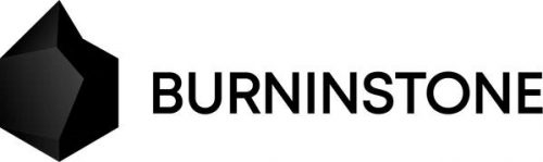 Burninstone, Logotipo
